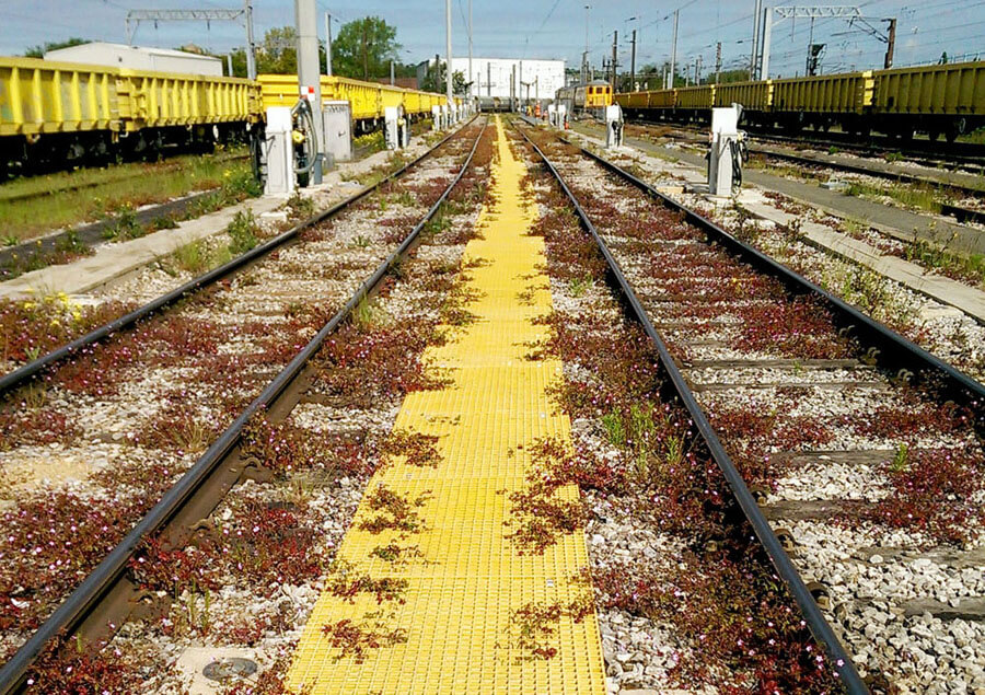 Ferme Park before works