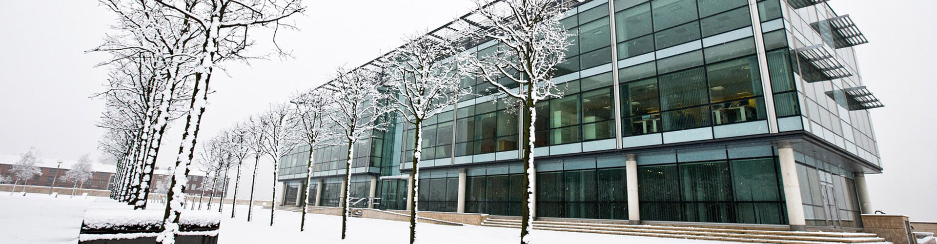 Spencer Group's RoundUp of 2016 Spencer Group